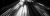 continuity attorney